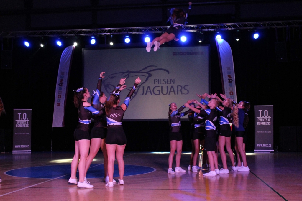 JAGUARS PARTY