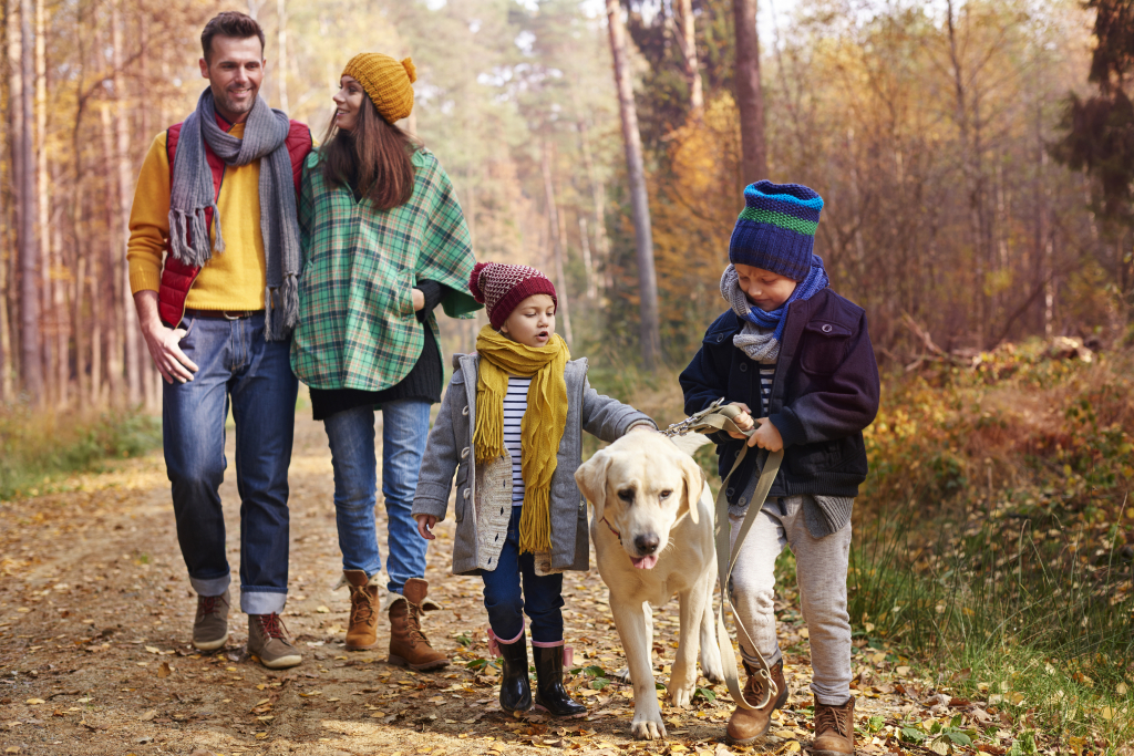 walking-with-all-family-autumn-season.jpg