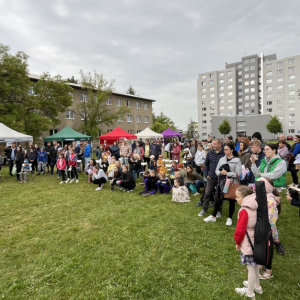 Trávníková párty