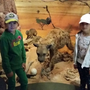 ZM_muzeum.jpg