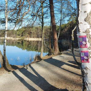 Kamenak1.jpg