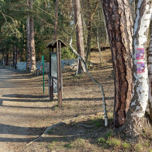 Kamenak2.jpg