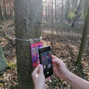 Kamenak4.jpg