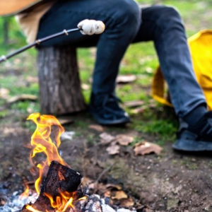 picnic-with-campfire-one-man-is-playing-guitar-another-is-cooking-marshmallows-fire_1268-17122.jpg