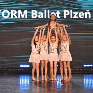 Konkurz do Storm Ballet